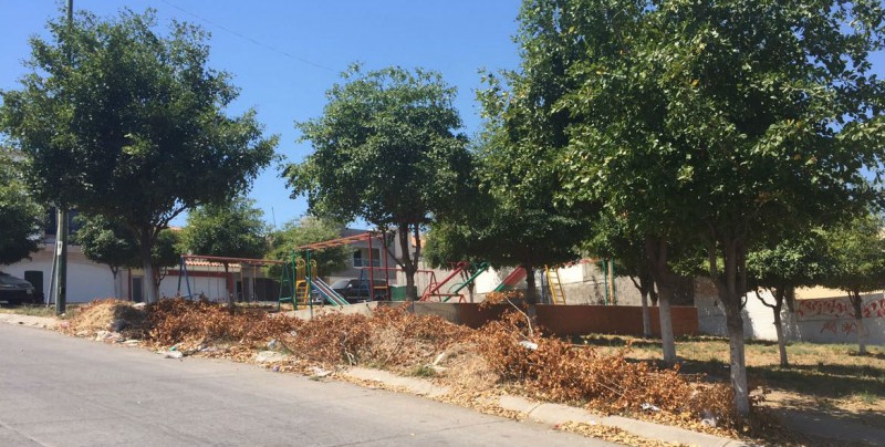 Limpian parque del Fraccionamiento Almendros