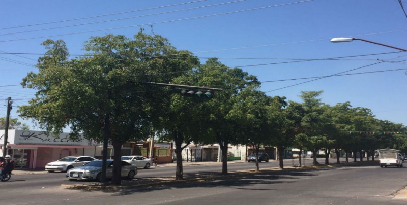 Semáforo ladeado y amarrado con mecate en el sector Humaya