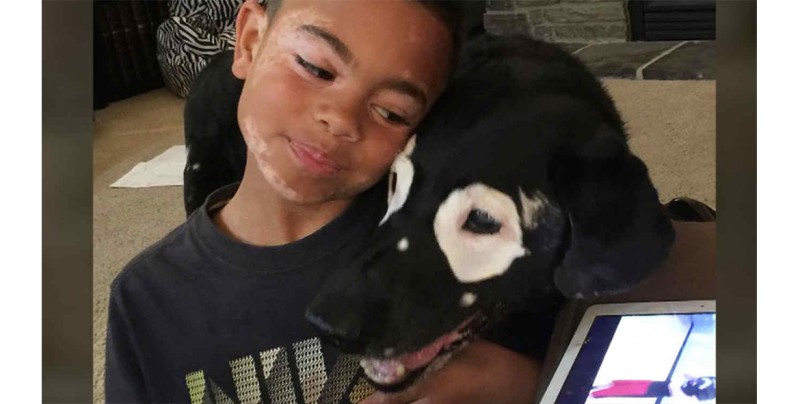 Perro con vitiligo devuelve autoestima a niño de 8 años