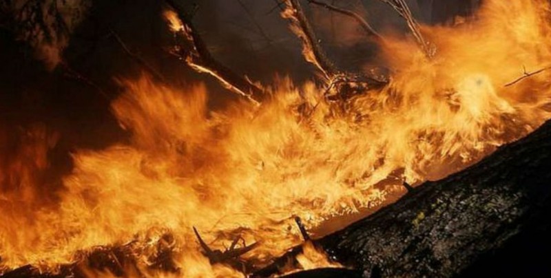 Un hombre quema sus libros y provoca incendio