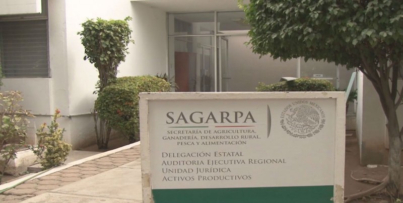 Sin llegar los 198 millones de pesos para pago a productores