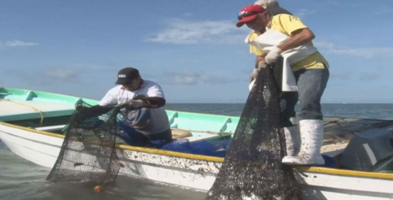 Piden ampliar temporada de pesca o apoyos del PET