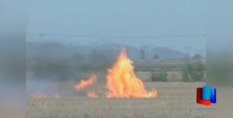 Inicia quema de Gavilla en el Valle del Yaqui