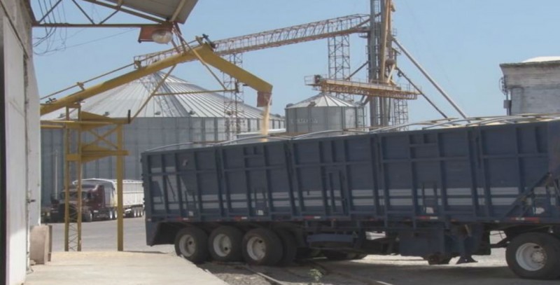 No hay garantía de que otorguen recursos complementarios a maiceros