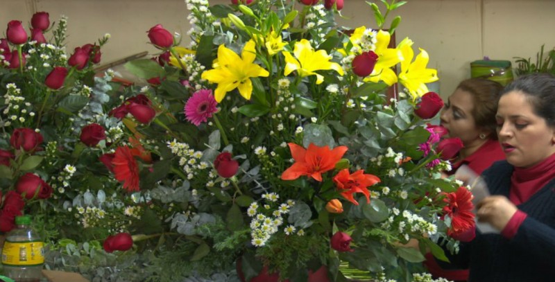 Dan a conocer los precios de las flores para este día de las Madres