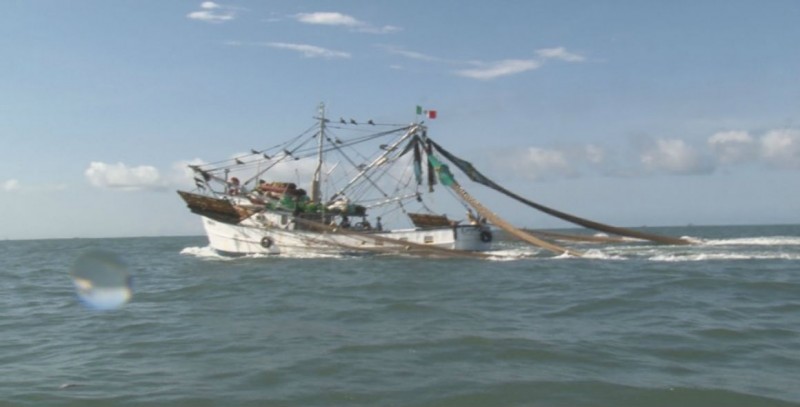CONAPESCA debe seguir con operativos para evitar la pesca furtiva