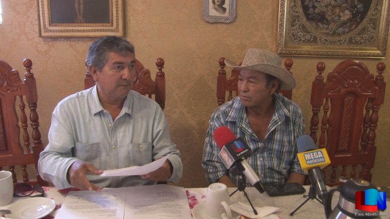 Exigen Apicultores alto a tala de árboles