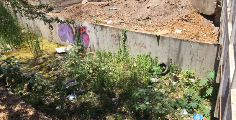 Llantas, restos de electrodomésticos y agua estancada en arroyo de Emiliano Zapata