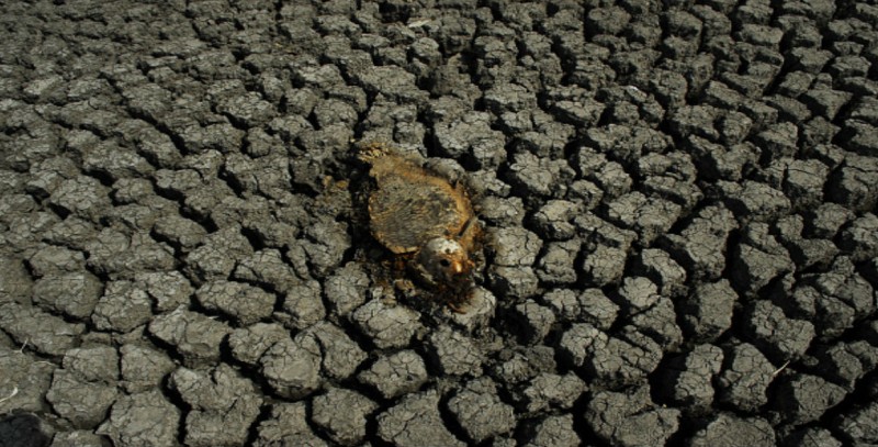 Desastres naturales se han duplicado en los últimos 30 años: ONU