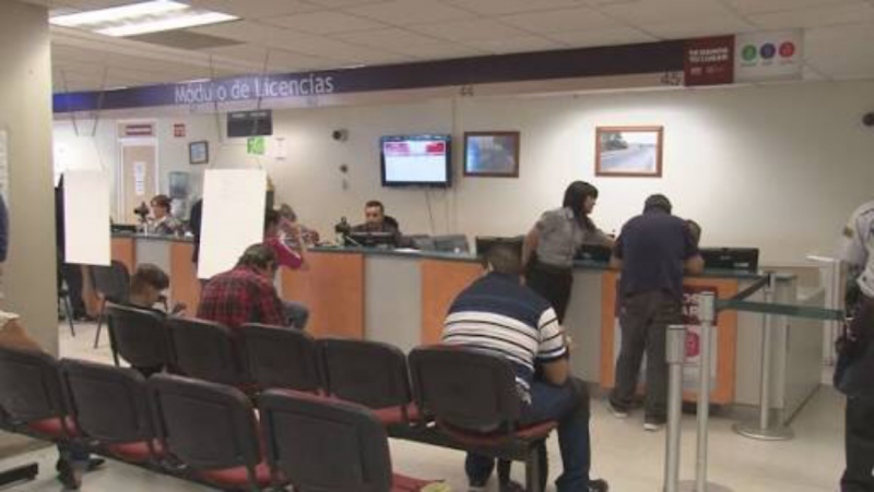El Gobierno del Estado asume la producción de licencias