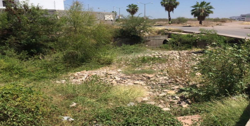 Dren peligroso por boulevard Conquistadores