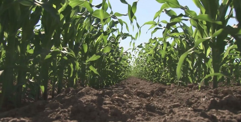 Reciben con agrado propuesta de politícas públicas para el sector agrícola