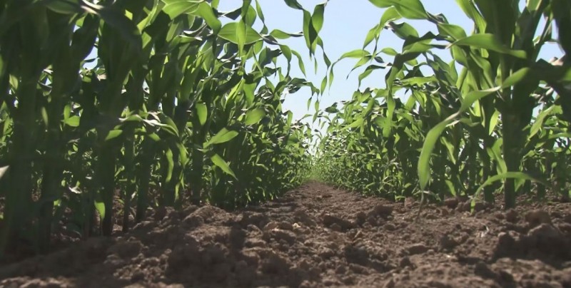 Reciben con agrado propuesta de politícas públicas para el sector agrícola