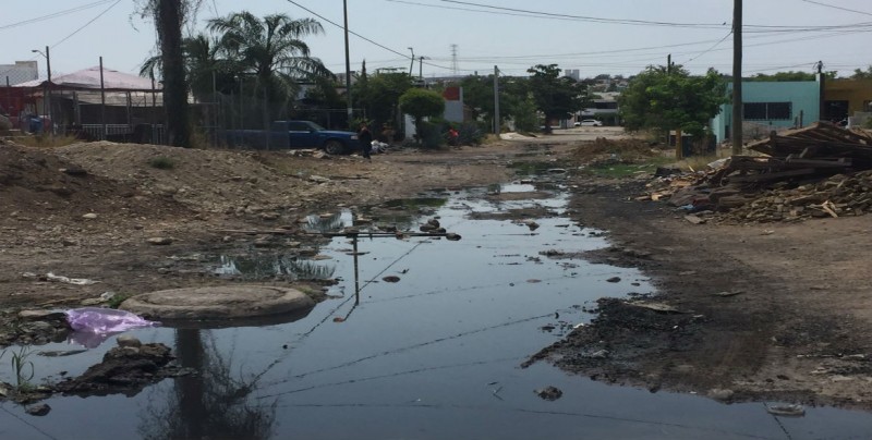 Insoportable olor expide el agua estancada en Rincón del Parque