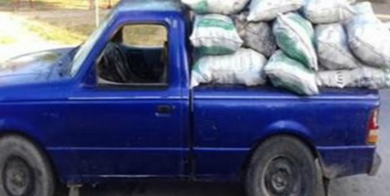 PROFEPA Decomisa 782 kilogramos de carbón vegetal