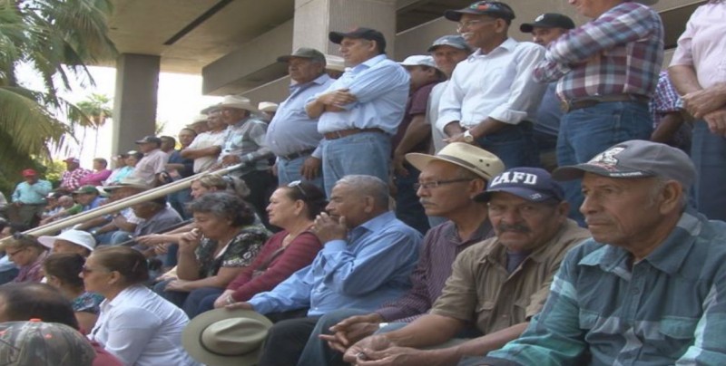 Murieron en la espera de los apoyos