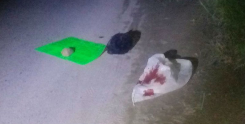 Hallan cabeza humana frente a un hospital en Acapulco