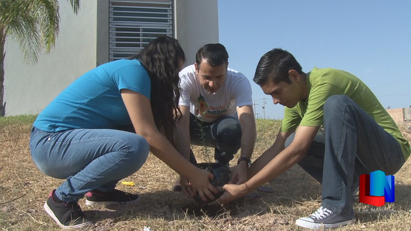 Televisoras TVP y UTS plantaron árboles