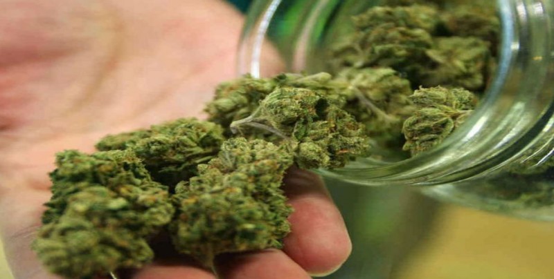 Activan uso de mariguana medicinal