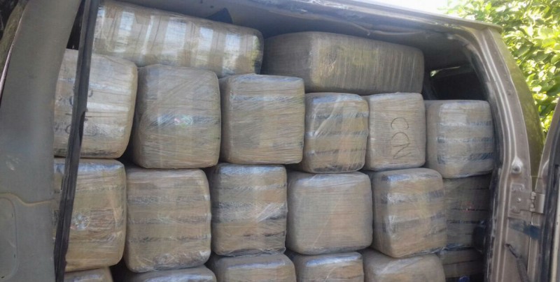 Militares decomisan alrededor de mil 500 kilos de mariguana