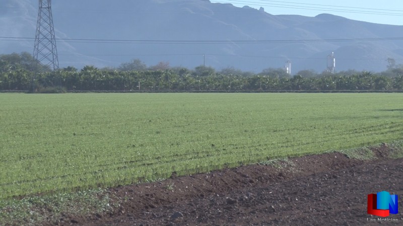 Ampliaron registro de PROAGRO hasta agosto