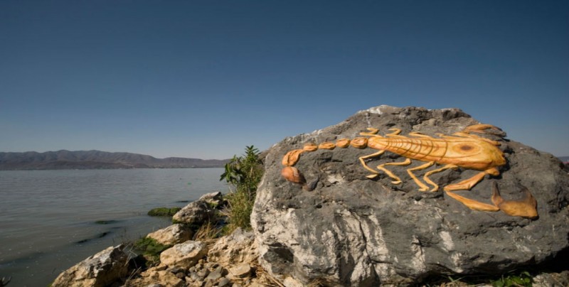 Isla de los alacranes considerado patrimonio cultural y sagrado