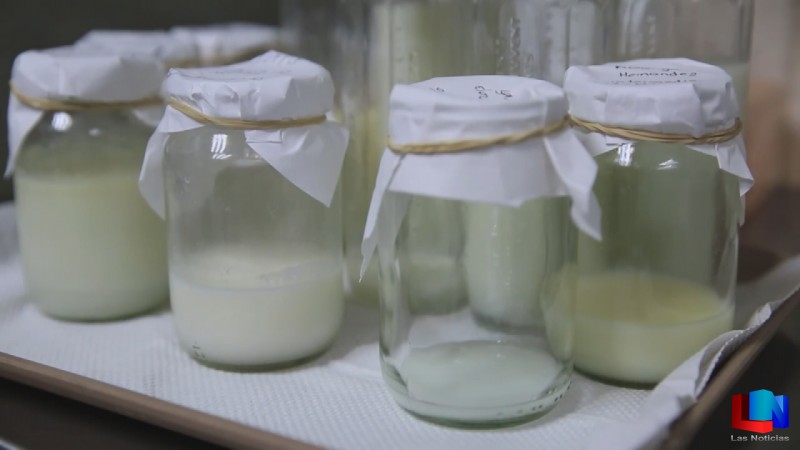 Anuncia Grameen banco de leche en HGO