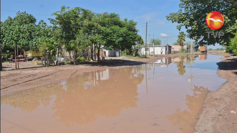 Cal en letrinas de Navojoa
