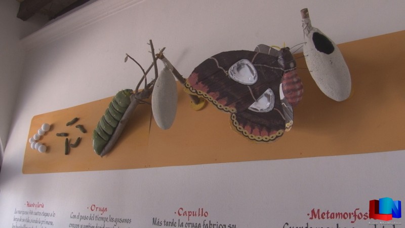 Exponen "Casa de Mariposas"