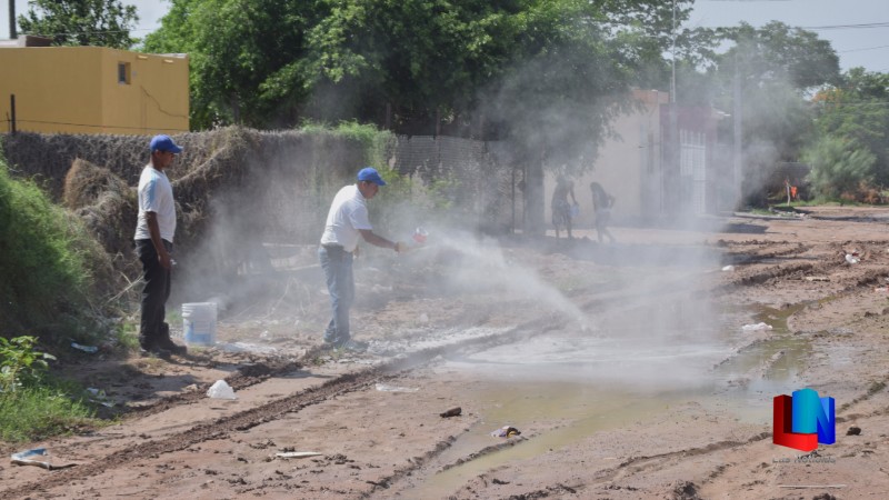 Concluyen acciones de sanidad