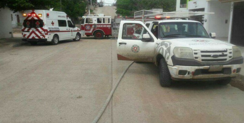 La SSPyTM exhorta a la ciudadanía no tratar de espantar a las abejas
