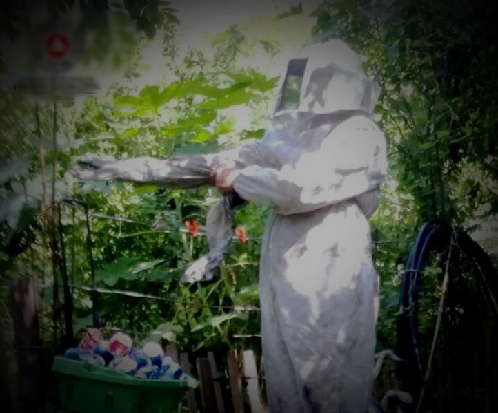 Retira Protección Civil panales de abejas