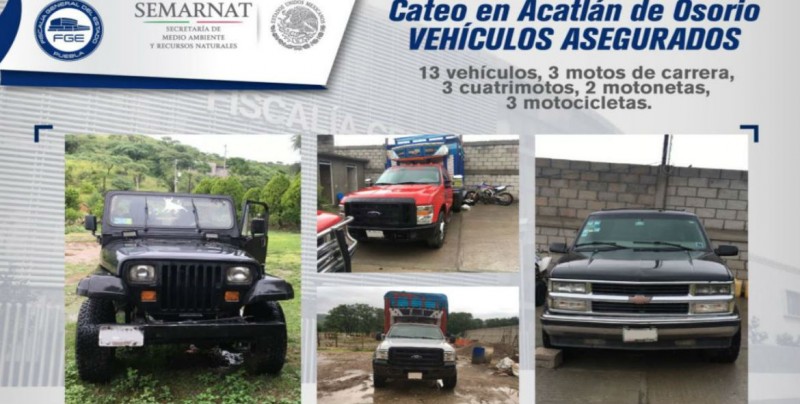 Aseguran animales exóticos y armas en rancho de "Los Rojos" en Puebla