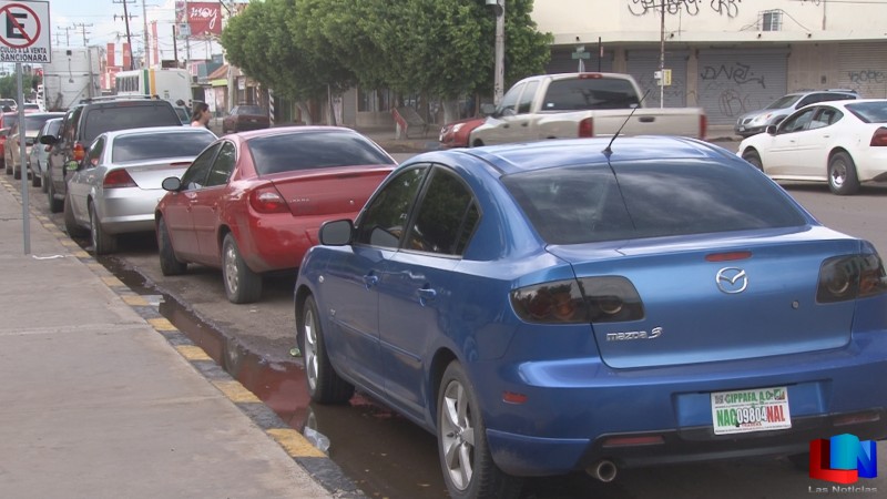 Viene posible decomiso de PAFAS