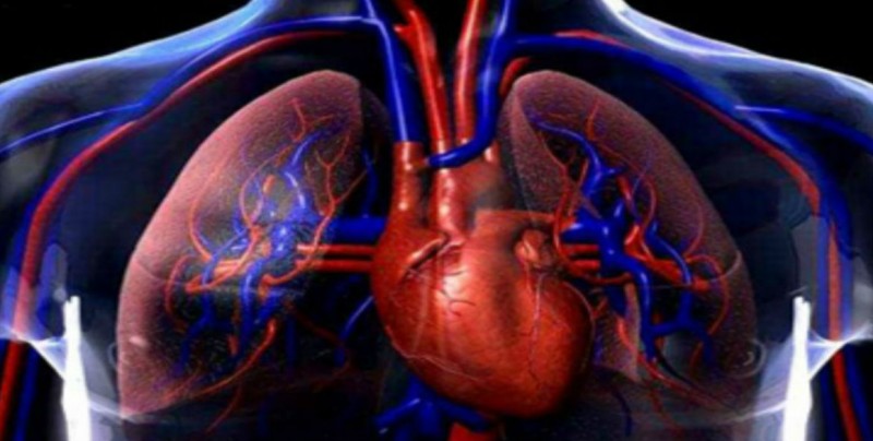 Identifique los síntomas de un infarto cerebral