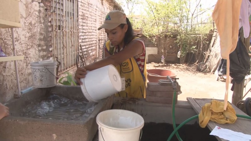 Continúa la campaña de descacharrización en Culiacán