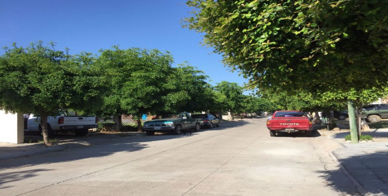 Piden seguridad a las Autoridades; más rondines por calle Abeto