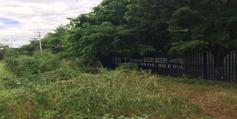 Solicitan limpieza a un costado del CBTIS 224 frente al Internado infantil DIF
