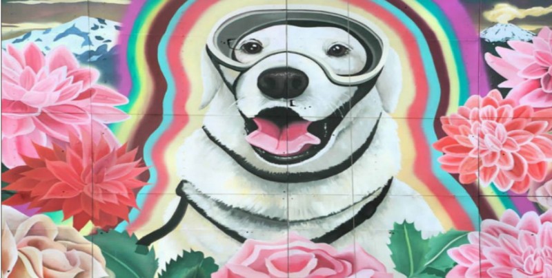 Mural dedicado a Frida, la perrita rescatista