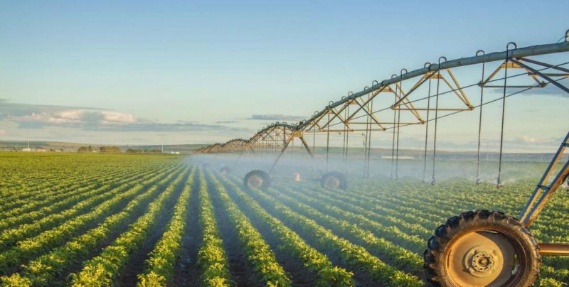 Negociaciones en TLCAN siguen siendo positivas para sector Agropecuario