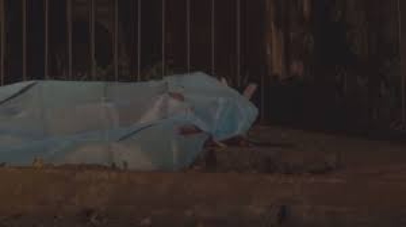 Ordenes de Protección es lo que está fallando en la alerta de género: Diva Gastélum