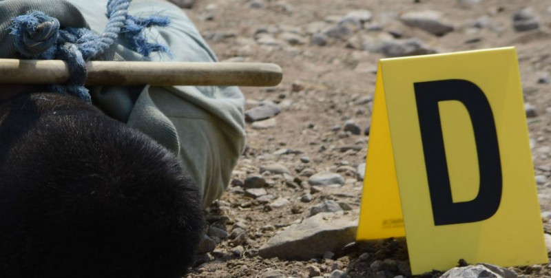 Encuentran 6 personas sin vida con huellas de tortura