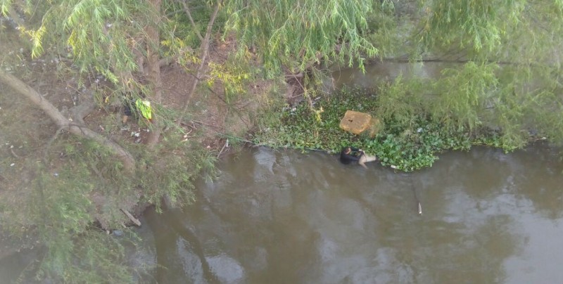 Encuentra cuerpo flotando en el río Tamazula