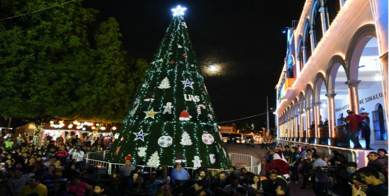 Enciende la U.A.S. su árbol navideño