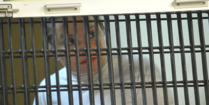Elba Esther dejará la prisión