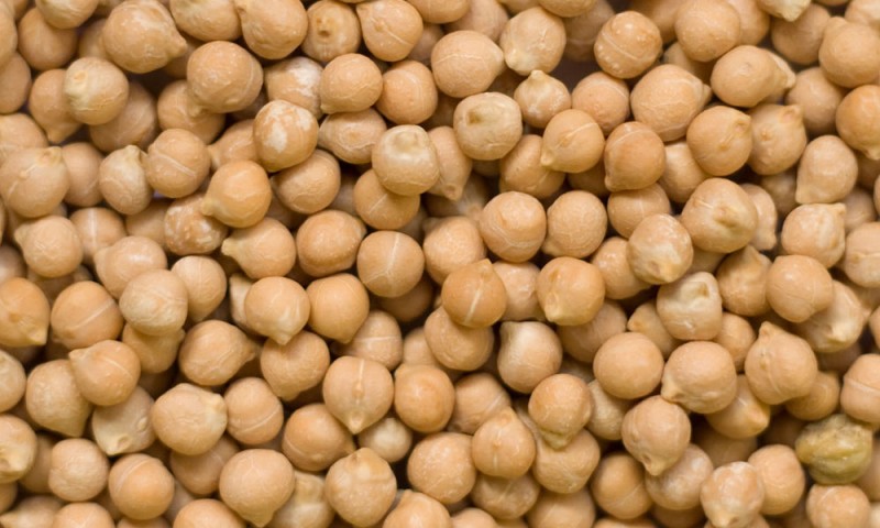 Bajará la producción de garbanzo