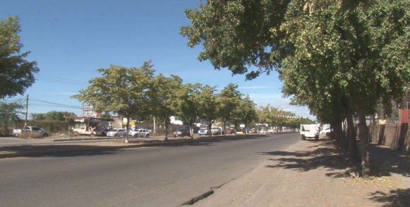 Solicitan instalación de alumbrado público por la calzada Colegio Militar