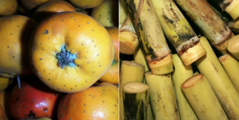 Tejocote y caña, las frutas de la navidad