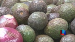 Esperan que pronto baje el precio del aguacate