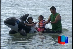 Disfrutan familias de playa Miramar